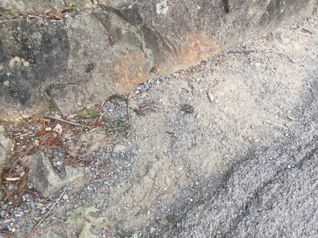 6-23_Laurel_Falls7
